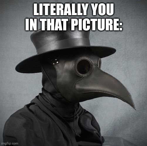 plague doctor | LITERALLY YOU IN THAT PICTURE: | image tagged in plague doctor | made w/ Imgflip meme maker