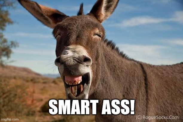 Donkey Jackass Braying | SMART ASS! | image tagged in donkey jackass braying | made w/ Imgflip meme maker