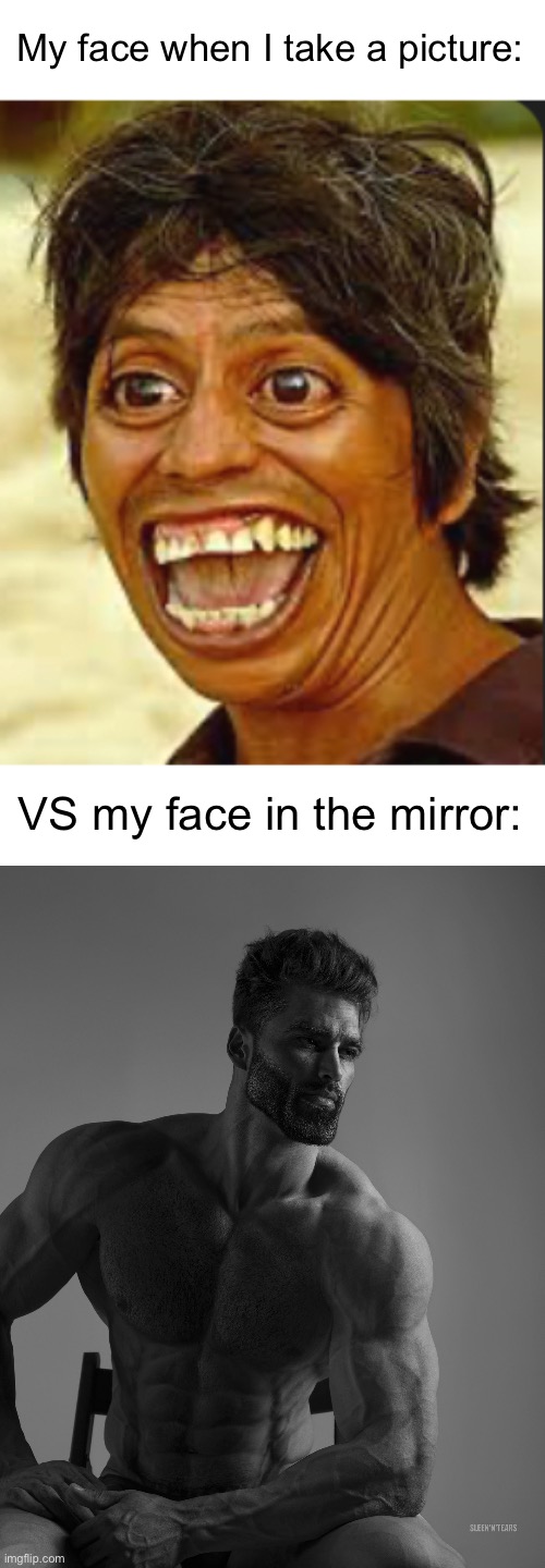 Why does this happen | My face when I take a picture:; VS my face in the mirror: | image tagged in giga chad,memes | made w/ Imgflip meme maker