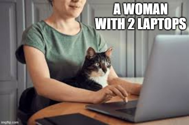 memes by Brad - Here's a woman with 2 laptops - humor | A WOMAN WITH 2 LAPTOPS | image tagged in funny,gaming,laptop,computer,play on words,humor | made w/ Imgflip meme maker