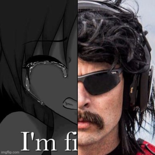 I'm fi | image tagged in i'm fi | made w/ Imgflip meme maker