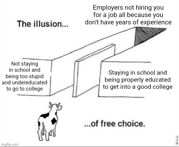 It doesn't matter where you stay in school as a kid or not, you won't get a job | Employers not hiring you for a job all because you don't have years of experience; Not staying in school and being too stupid and undereducated to go to college; Staying in school and being properly educated to get into a good college | image tagged in illusion of free choice,unemployment,school,education,jobs | made w/ Imgflip meme maker