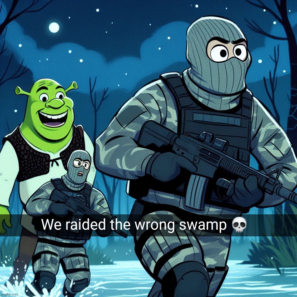 We raided the wrong swamp 💀 | image tagged in timezone,shrek,funny,shitpost,memes,cartoon | made w/ Imgflip meme maker