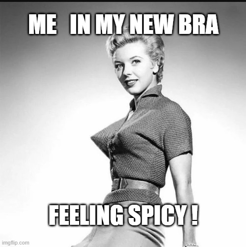 Pointy Bra Fun! | ME   IN MY NEW BRA; FEELING SPICY ! | image tagged in my new bra,her pointy bra,madonna,marilynmonroe,1950's | made w/ Imgflip meme maker