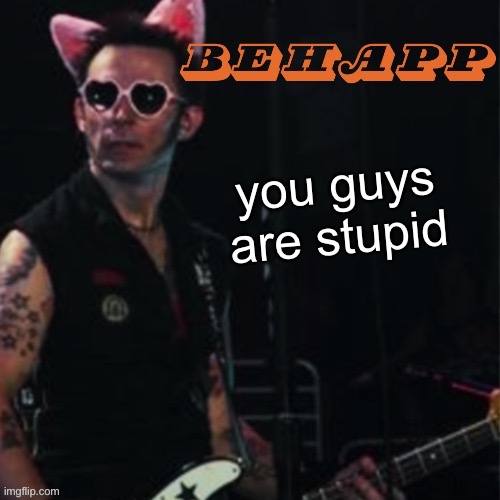 Behapp | you guys are stupid | image tagged in behapp | made w/ Imgflip meme maker