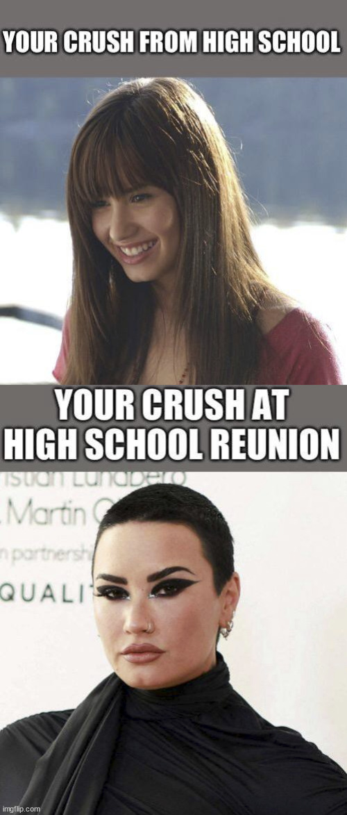 High school crush | image tagged in funny,high school,crush,reunion,demi lovato,disney | made w/ Imgflip meme maker