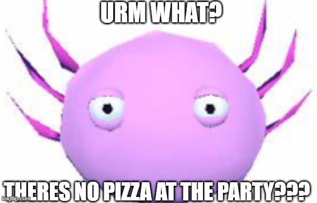 Kinito Pet | URM WHAT? THERES NO PIZZA AT THE PARTY??? | image tagged in kinito pet | made w/ Imgflip meme maker