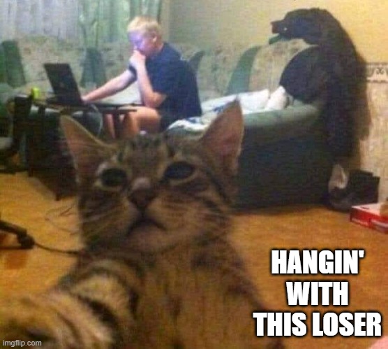 Cat Selfie | HANGIN' WITH THIS LOSER | image tagged in cats | made w/ Imgflip meme maker