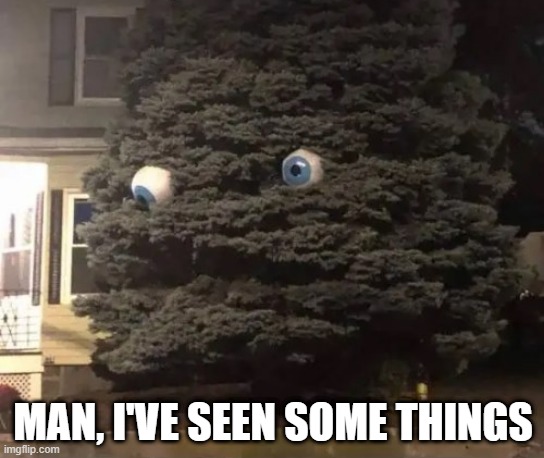 Tree Confessions | MAN, I'VE SEEN SOME THINGS | image tagged in funny memes | made w/ Imgflip meme maker