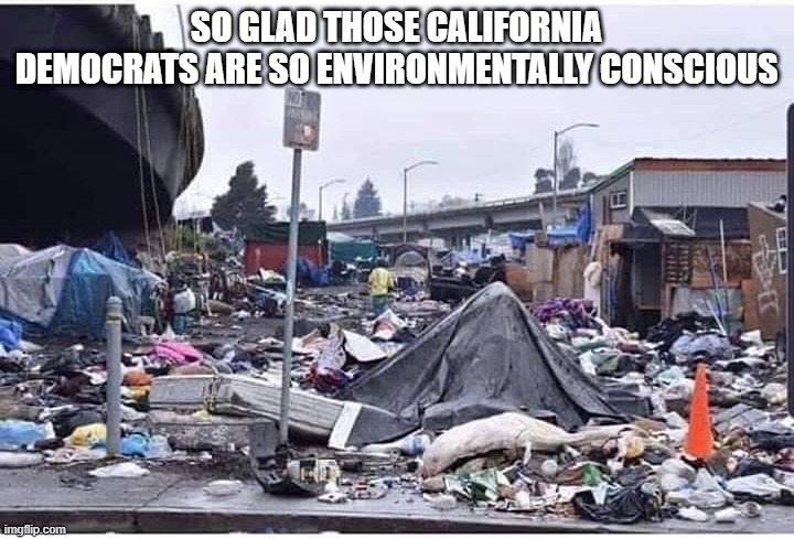 Democrats in Action | SO GLAD THOSE CALIFORNIA DEMOCRATS ARE SO ENVIRONMENTALLY CONSCIOUS | image tagged in poiltics | made w/ Imgflip meme maker