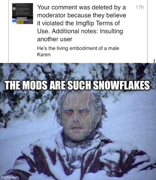 THE MODS ARE SUCH SNOWFLAKES | image tagged in memes,jack nicholson the shining snow | made w/ Imgflip meme maker