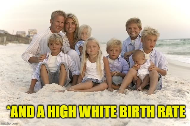 *AND A HIGH WHITE BIRTH RATE | made w/ Imgflip meme maker