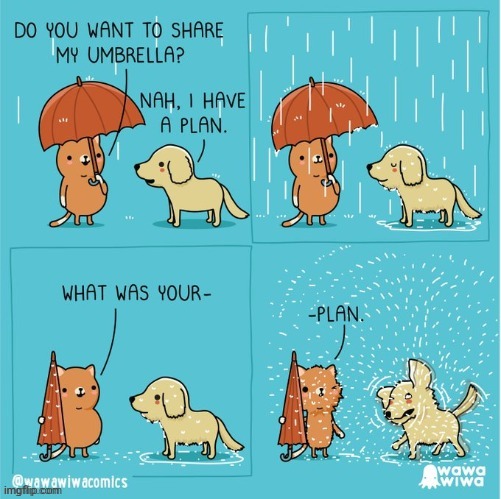 WET | image tagged in wet,dog,cat,umbrella,comics,comics/cartoons | made w/ Imgflip meme maker