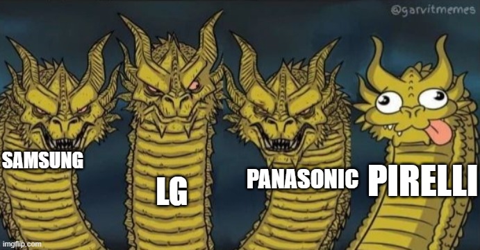 4 headed dragon | SAMSUNG; LG; PANASONIC; PIRELLI | image tagged in 4 headed dragon | made w/ Imgflip meme maker