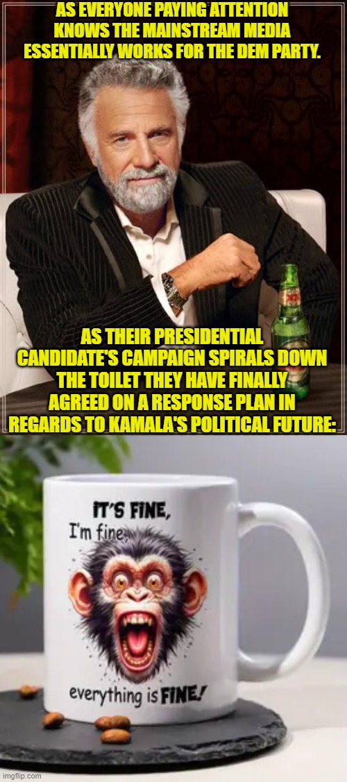 It's amusing to watch the increasing desperation as her campaign implodes. | AS EVERYONE PAYING ATTENTION KNOWS THE MAINSTREAM MEDIA ESSENTIALLY WORKS FOR THE DEM PARTY. AS THEIR PRESIDENTIAL CANDIDATE'S CAMPAIGN SPIRALS DOWN THE TOILET THEY HAVE FINALLY AGREED ON A RESPONSE PLAN IN REGARDS TO KAMALA'S POLITICAL FUTURE: | image tagged in yep | made w/ Imgflip meme maker