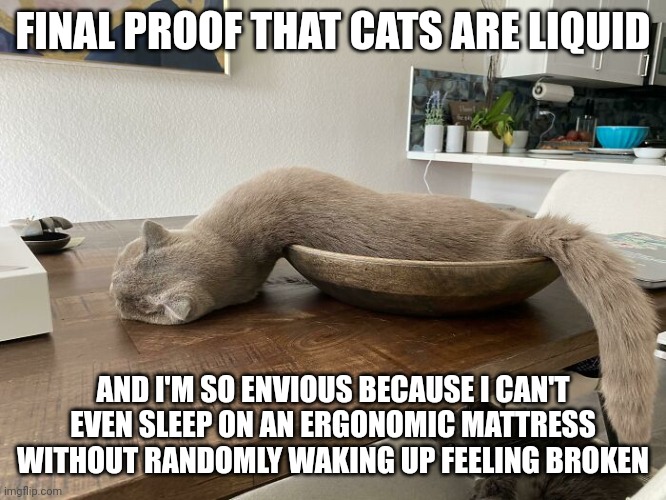 Funny cat | FINAL PROOF THAT CATS ARE LIQUID; AND I'M SO ENVIOUS BECAUSE I CAN'T EVEN SLEEP ON AN ERGONOMIC MATTRESS WITHOUT RANDOMLY WAKING UP FEELING BROKEN | image tagged in funny cat | made w/ Imgflip meme maker