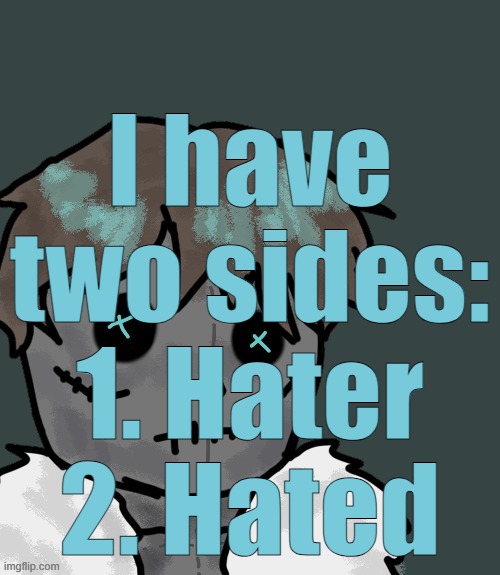OsDe plush (thanks Disco) | I have two sides:
1. Hater
2. Hated | image tagged in osde plush thanks disco | made w/ Imgflip meme maker