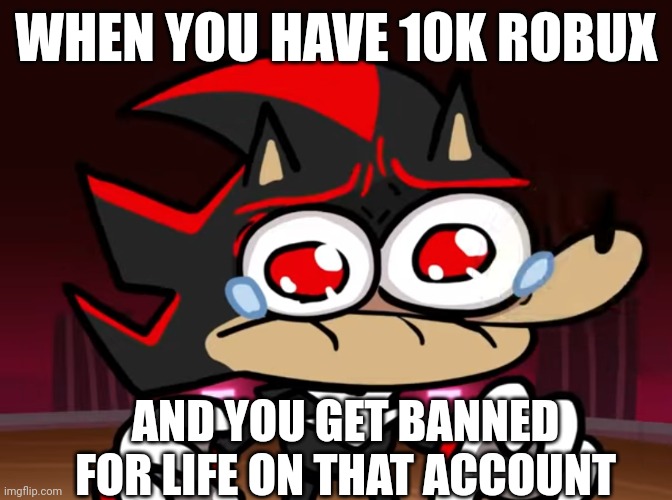 Shadow crying about Maria | WHEN YOU HAVE 10K ROBUX; AND YOU GET BANNED FOR LIFE ON THAT ACCOUNT | image tagged in shadow the hedgehog,lol so funny,crying | made w/ Imgflip meme maker