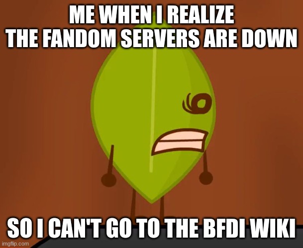 BFDI Fandom servers down | ME WHEN I REALIZE THE FANDOM SERVERS ARE DOWN; SO I CAN'T GO TO THE BFDI WIKI | image tagged in bfdi wat face,fandom fix,fandom,servers down,bfdi | made w/ Imgflip meme maker