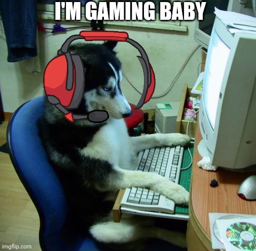 POV: You Teach Your Dog To Play Minecraft... | I'M GAMING BABY | image tagged in memes,i have no idea what i am doing | made w/ Imgflip meme maker