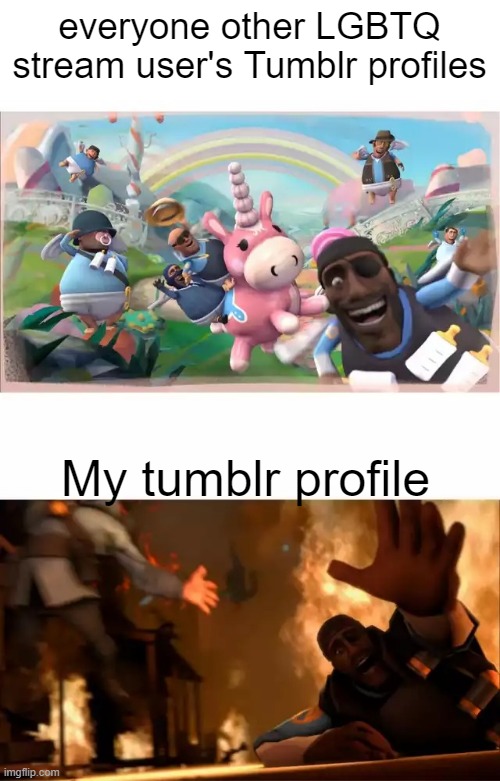 Pyrovision | everyone other LGBTQ stream user's Tumblr profiles; My tumblr profile | image tagged in pyrovision | made w/ Imgflip meme maker