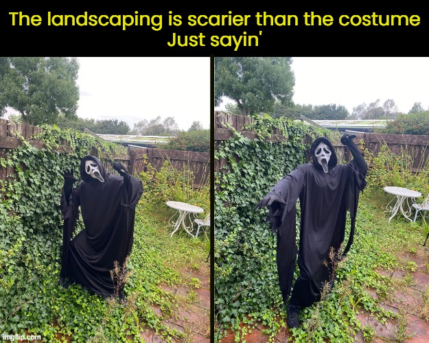 Please ask Santa for a weed wacker. | The landscaping is scarier than the costume
Just sayin' | image tagged in funny memes,halloween | made w/ Imgflip meme maker