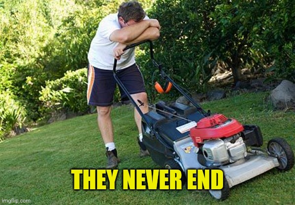 mowing the lawn | THEY NEVER END | image tagged in mowing the lawn | made w/ Imgflip meme maker