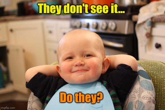 Smug Baby | They don't see it... Do they? | image tagged in smug baby | made w/ Imgflip meme maker