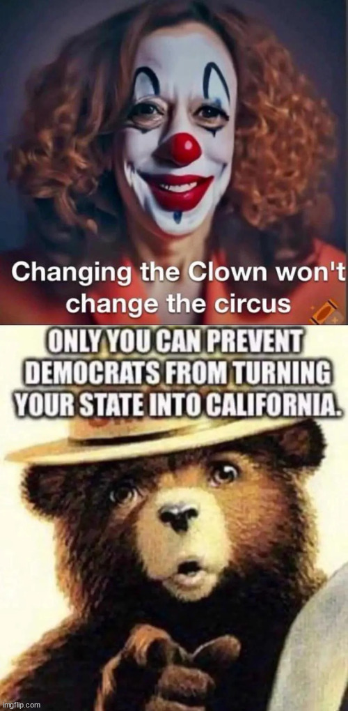 Just say no to the dem clowns | image tagged in dem circus,destoying america | made w/ Imgflip meme maker