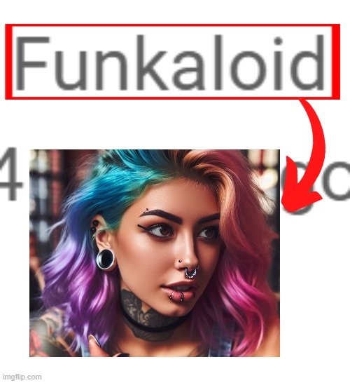 Funkaloid means ''Someone with colored hair'' | image tagged in funkaloid,memes,name soundalikes | made w/ Imgflip meme maker