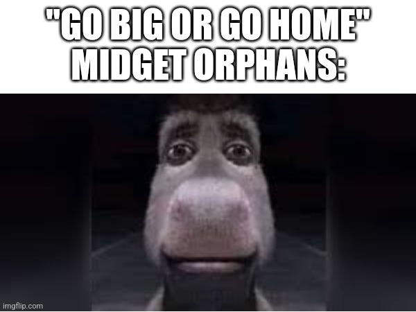 R | "GO BIG OR GO HOME"
MIDGET ORPHANS: | image tagged in donkey,orphans | made w/ Imgflip meme maker