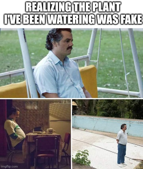 Sad Pablo Escobar | REALIZING THE PLANT I'VE BEEN WATERING WAS FAKE | image tagged in memes,sad pablo escobar | made w/ Imgflip meme maker