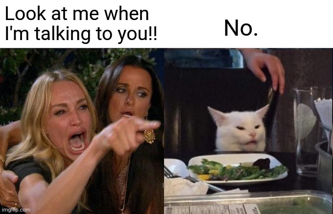 Woman Yelling At Cat Meme | Look at me when I'm talking to you!! No. | image tagged in memes,woman yelling at cat | made w/ Imgflip meme maker