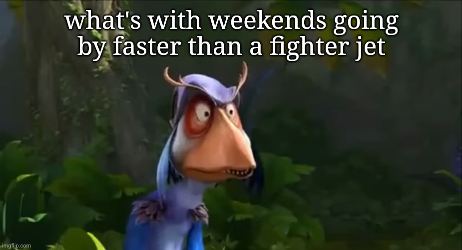 weird bird thing from a shitty obscure korean dinosaur movie | what's with weekends going by faster than a fighter jet | image tagged in weird bird thing from a shitty obscure korean dinosaur movie | made w/ Imgflip meme maker