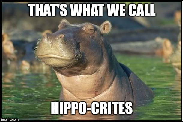 Skeptical Hippo | THAT'S WHAT WE CALL HIPPO-CRITES | image tagged in skeptical hippo | made w/ Imgflip meme maker