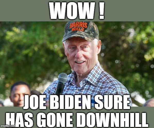 Joe Bien Campaigns For Kamala | WOW ! JOE BIDEN SURE HAS GONE DOWNHILL | image tagged in joe who | made w/ Imgflip meme maker