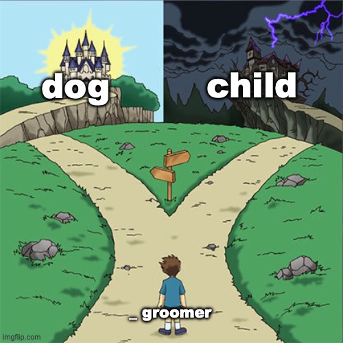 Two Paths | child; dog; _ groomer | image tagged in two paths | made w/ Imgflip meme maker