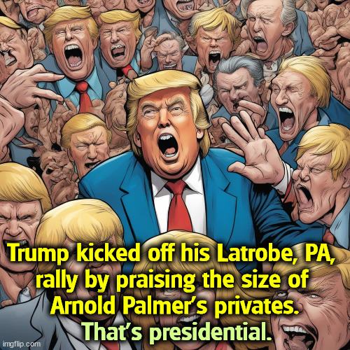 Face it. He's senile. | Trump kicked off his Latrobe, PA, 
rally by praising the size of 
Arnold Palmer's privates. That's presidential. | image tagged in trump,vulgar,crass,gross,childish,filthy | made w/ Imgflip meme maker