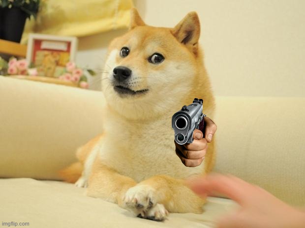 image tagged in memes,doge 2 | made w/ Imgflip meme maker