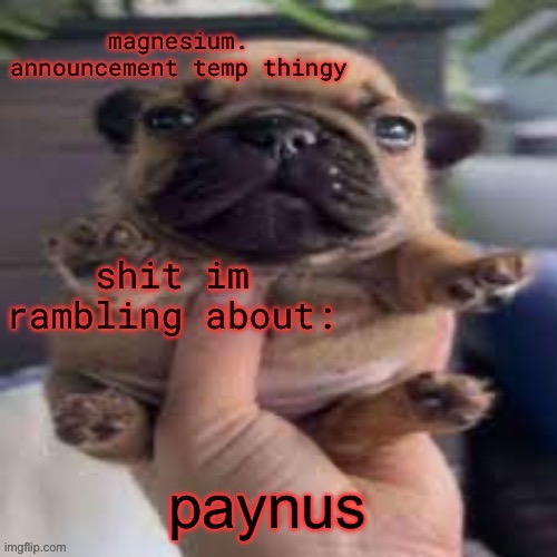 pug temp | PAYNUS | image tagged in pug temp | made w/ Imgflip meme maker