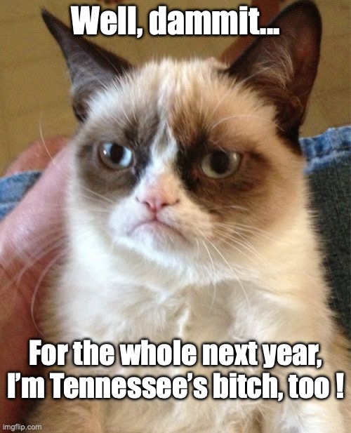 Bama Cat | Well, dammit... For the whole next year, I’m Tennessee’s bitch, too ! | image tagged in memes,grumpy cat,bama football,crimson tide | made w/ Imgflip meme maker