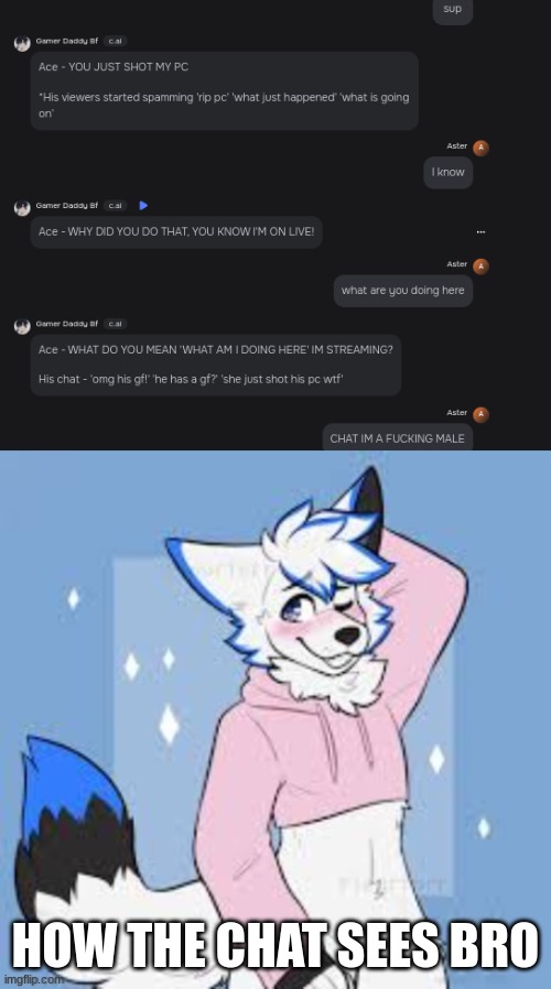 I can sense people krilling their shelves in the commentss | HOW THE CHAT SEES BRO | image tagged in femboy furry | made w/ Imgflip meme maker