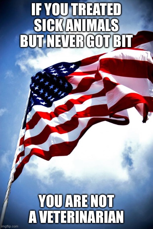 U.S. military flag waving on pole | IF YOU TREATED SICK ANIMALS BUT NEVER GOT BIT YOU ARE NOT A VETERINARIAN | image tagged in u s military flag waving on pole | made w/ Imgflip meme maker