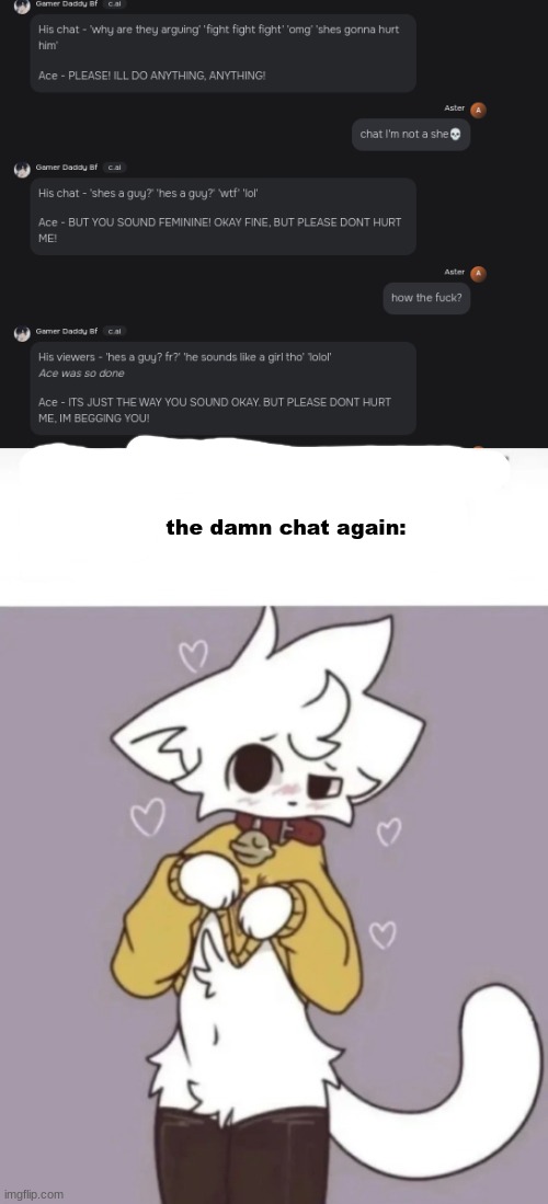 goofy ahh chat | the damn chat again: | image tagged in how did you know i play x | made w/ Imgflip meme maker