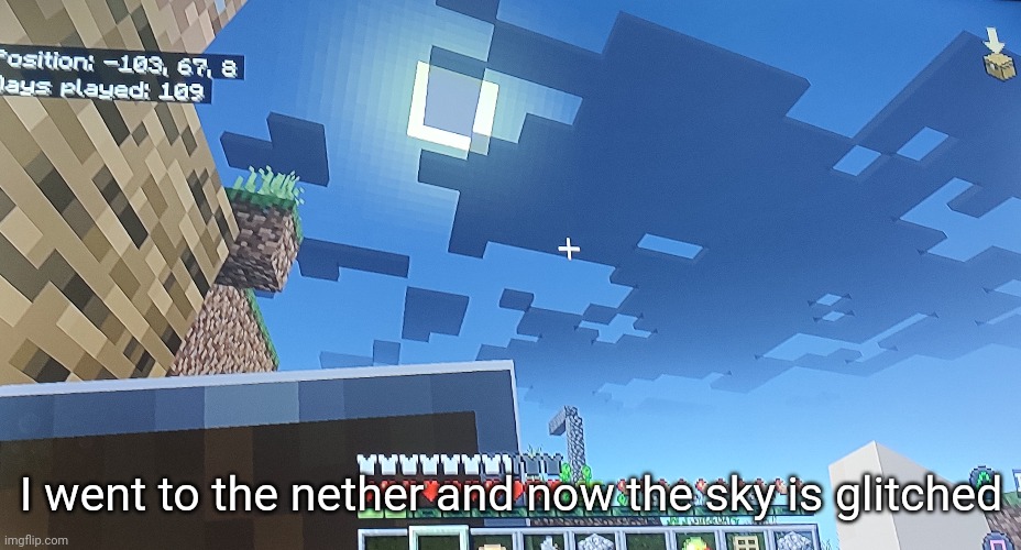 I went to the nether and now the sky is glitched | made w/ Imgflip meme maker