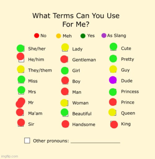 Pronouns Sheet | image tagged in pronouns sheet | made w/ Imgflip meme maker