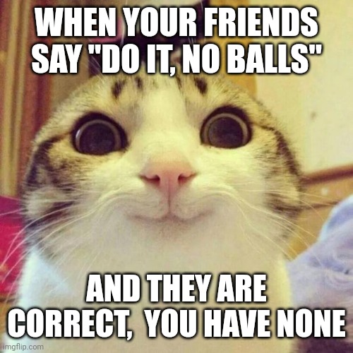 :3 | WHEN YOUR FRIENDS SAY "DO IT, NO BALLS"; AND THEY ARE CORRECT,  YOU HAVE NONE | image tagged in memes,smiling cat | made w/ Imgflip meme maker