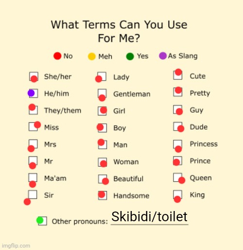 Pronouns Sheet | Skibidi/toilet | image tagged in pronouns sheet | made w/ Imgflip meme maker