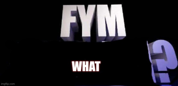 fym______? | WHAT | image tagged in fym______ | made w/ Imgflip meme maker