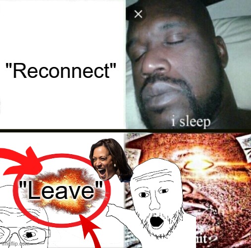 Roblox after you disconnected and try to press a button: | "Reconnect"; "Leave" | image tagged in memes,sleeping shaq,roblox meme,error,code,dissapointed | made w/ Imgflip meme maker